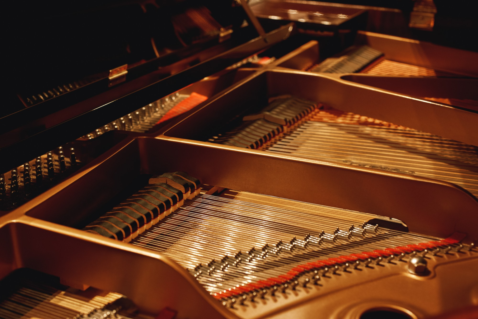 How Does a Piano Work? Action, Strings etc. Explained Pianote